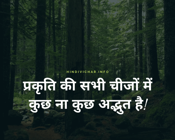 Save Forest Hindi Quotes