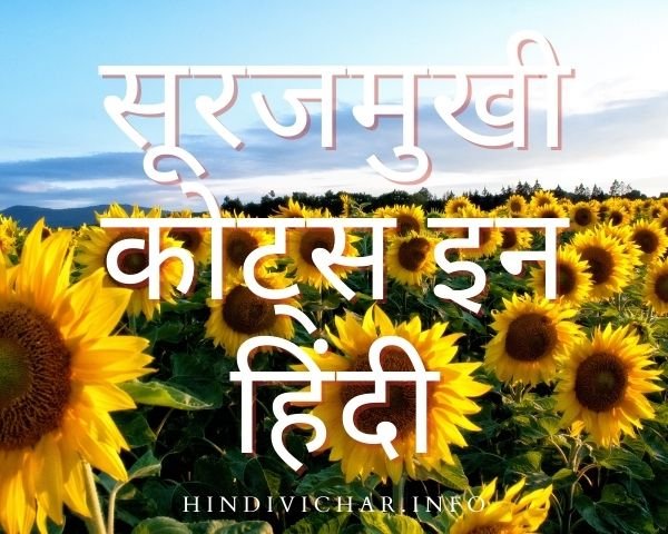 Sunflower Quotes In Hindi