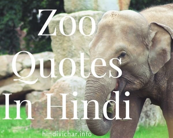 Quotes about Zoo in Hindi