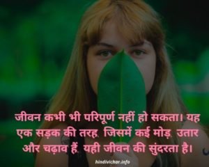 67+ Aesthetic Quotes in Hindi सौंदर्य से सम्बंधित कोट्स का संग्रह!